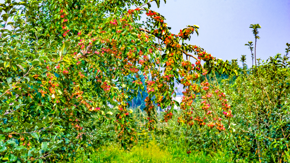DSC_0402-Edit.jpg