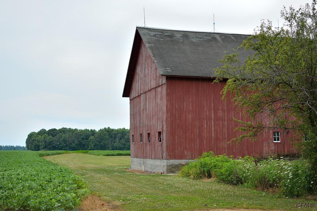 DSC_0402 nxd.jpg