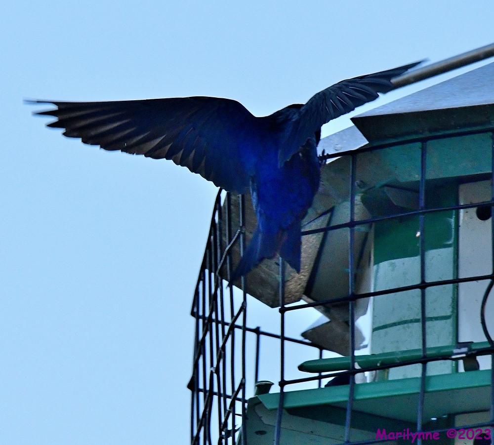 DSC_0402_001.JPG