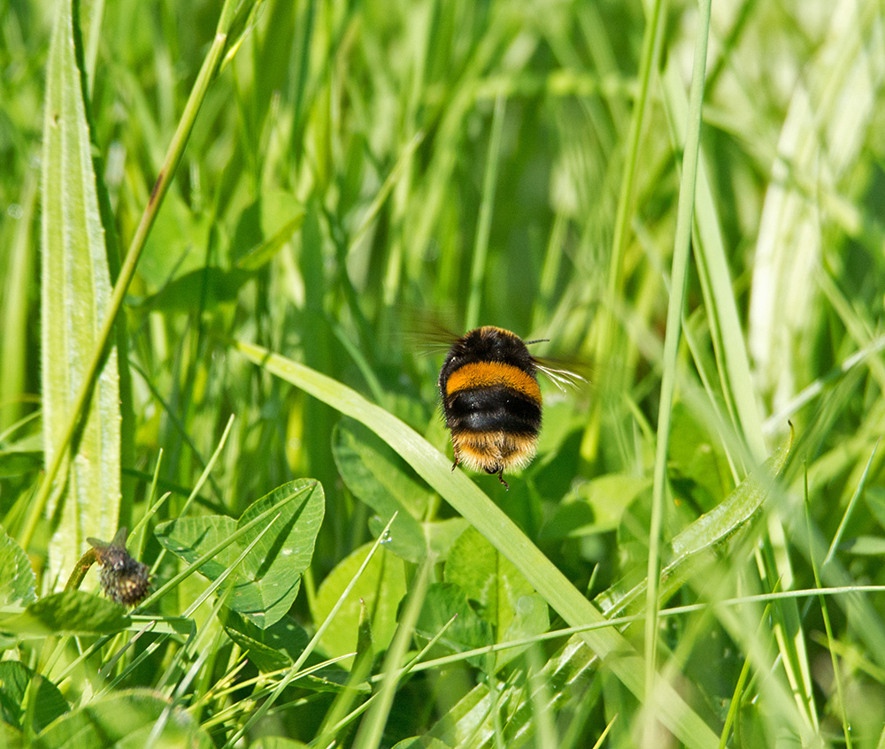 DSC_0405.jpg