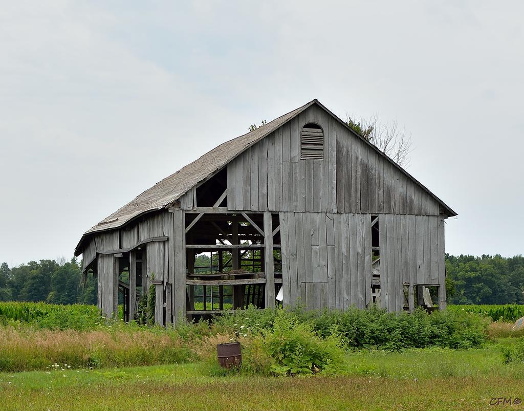 DSC_0405 nxd.jpg