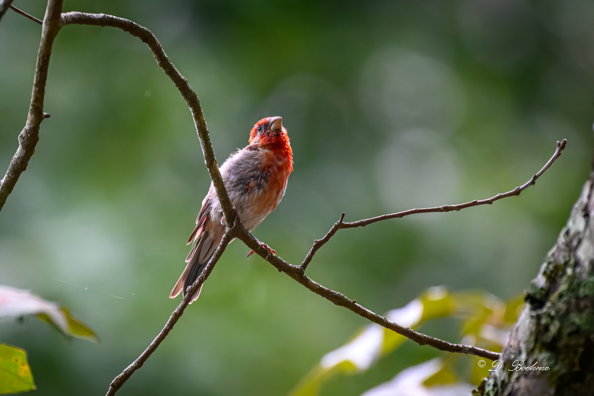 DSC_0405-topaz-rawdenoise.jpg