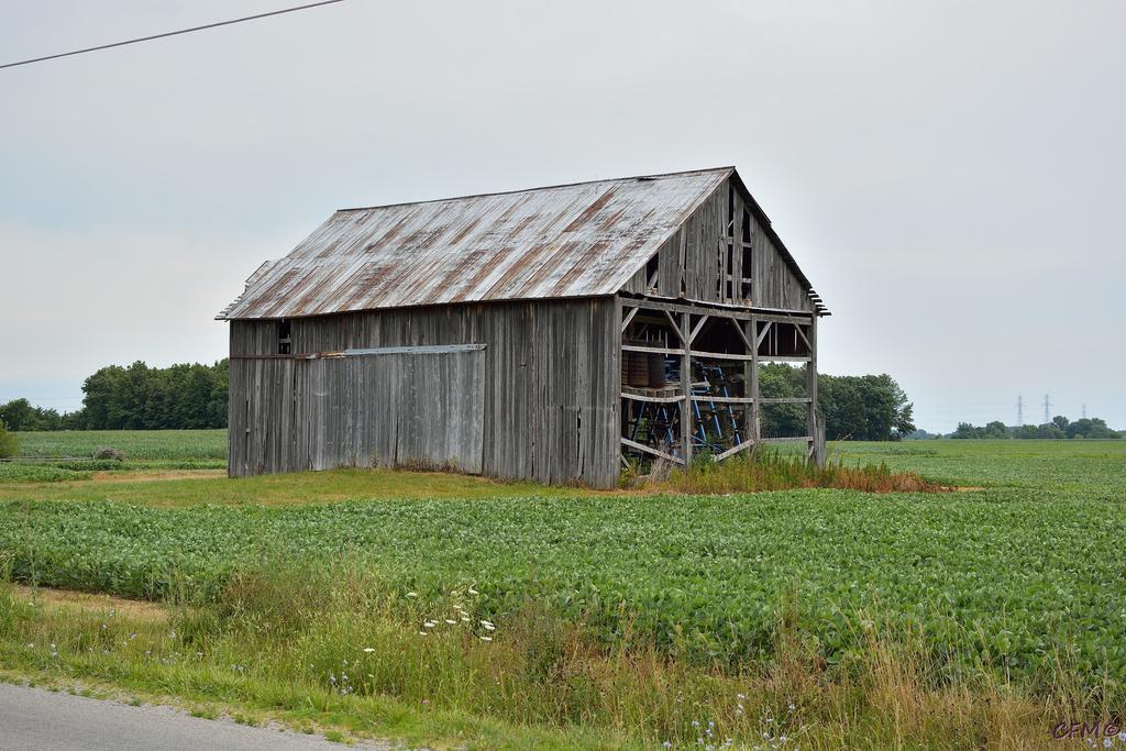 DSC_0406 nxd.jpg