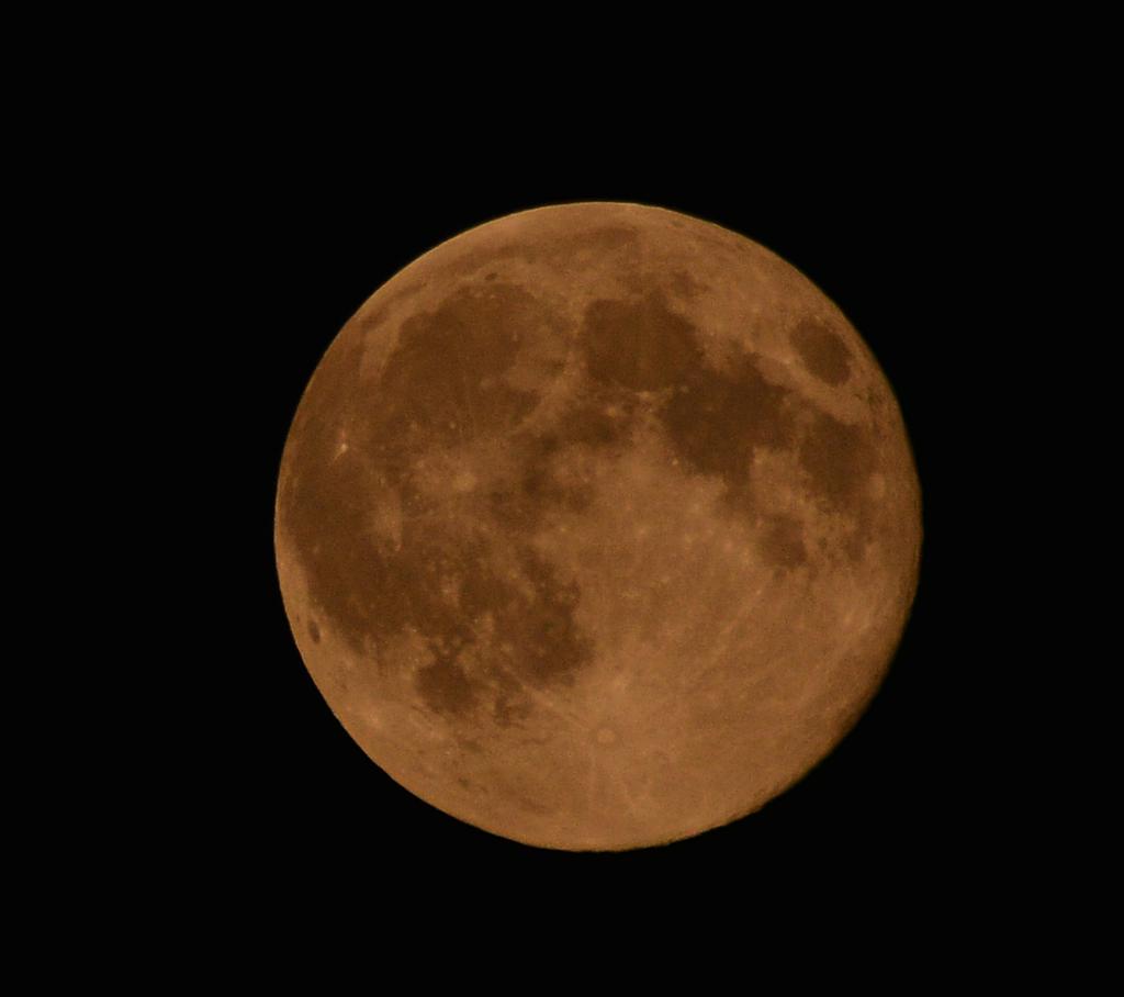 DSC_0408.jpg
