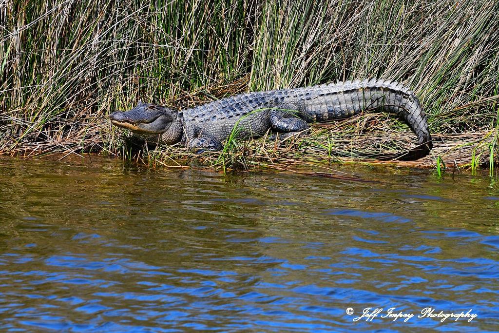 DSC_0409.jpg