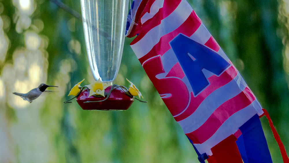 DSC_0415.jpg