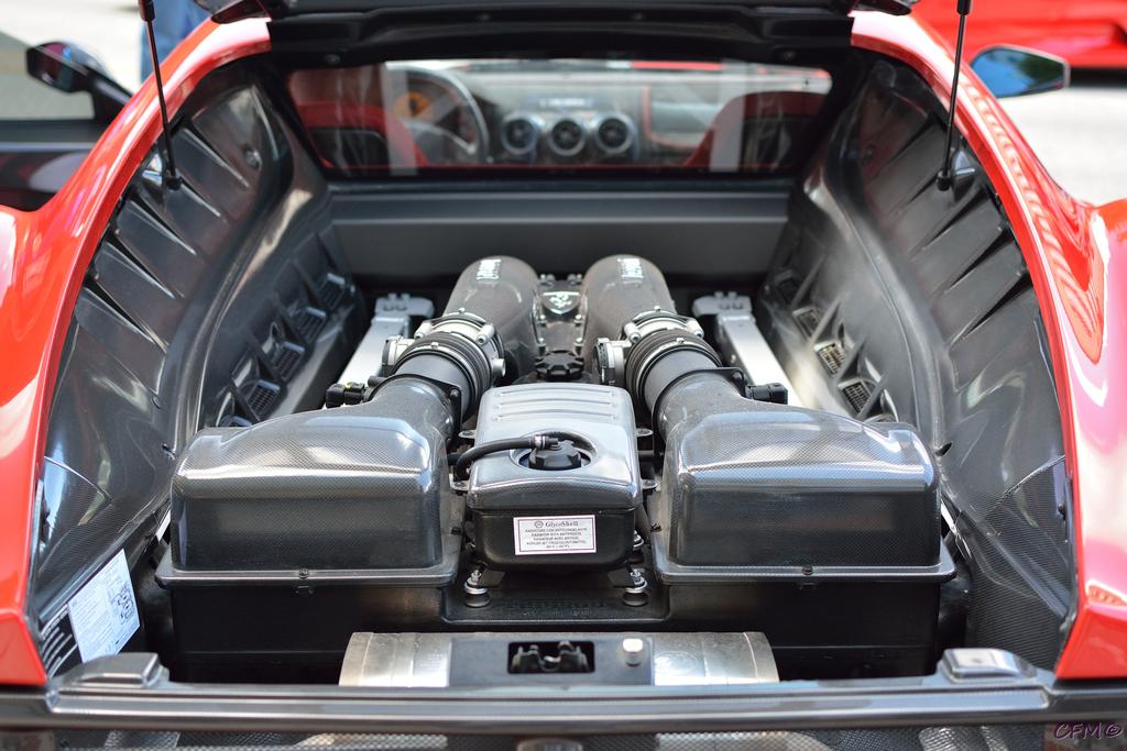 DSC_0415 nxd.jpg