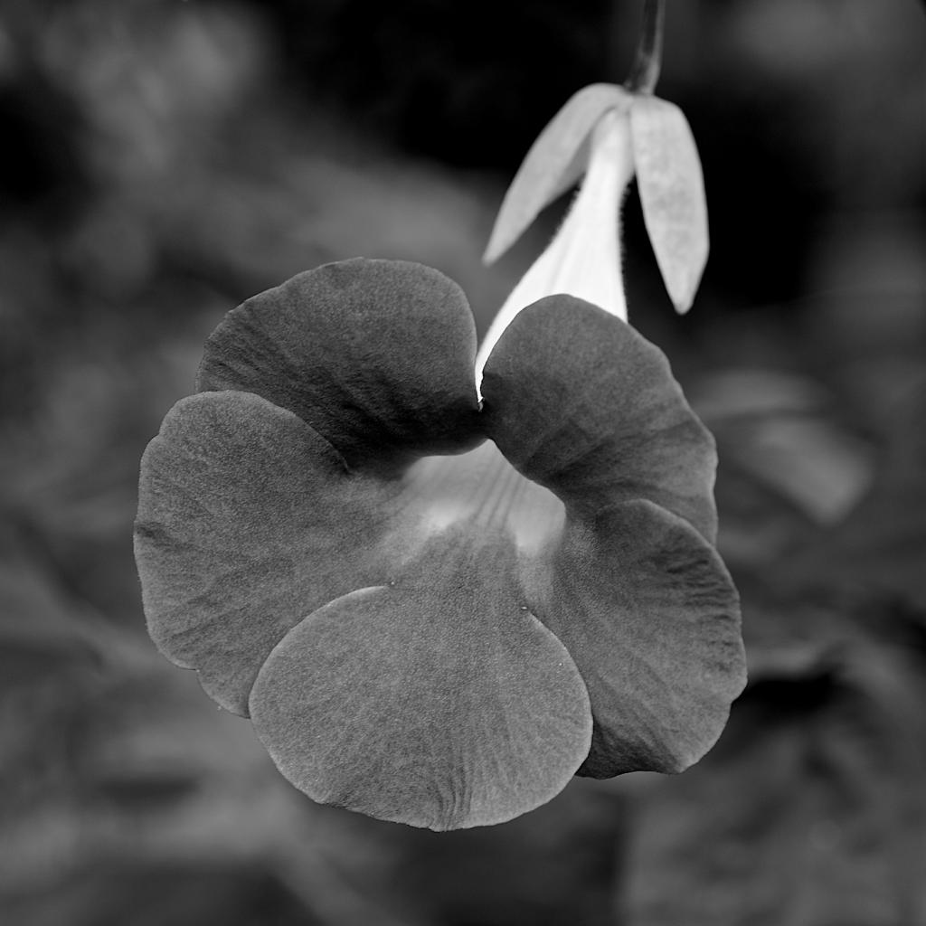 DSC_0416 (2).jpg