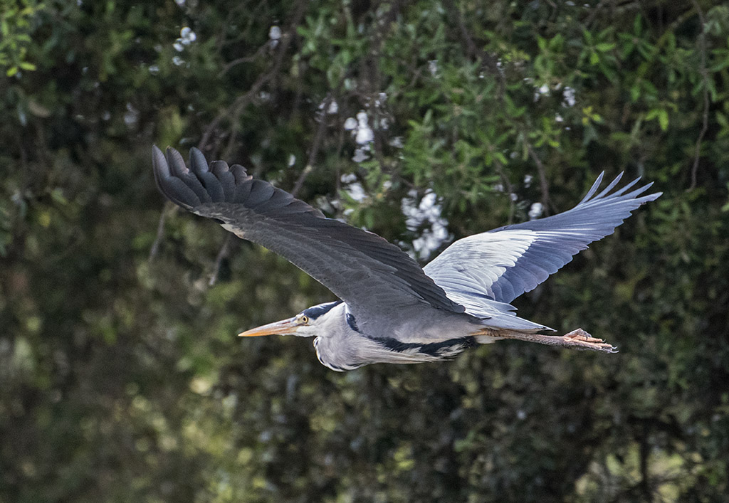DSC_0421.jpg