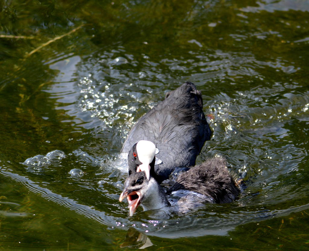 DSC_0422.jpg
