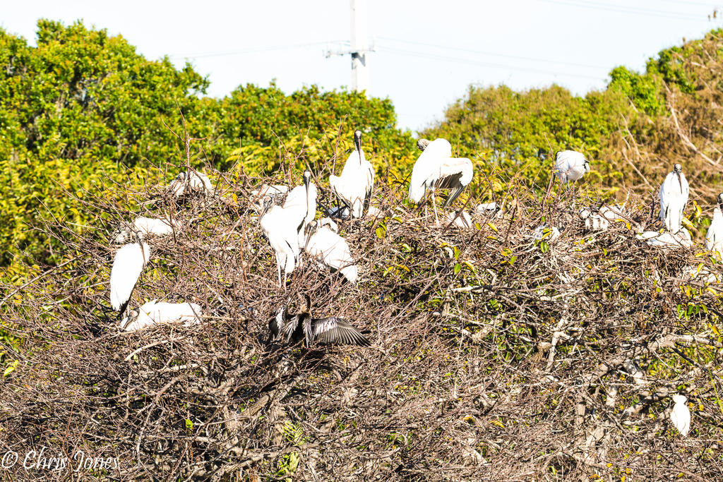 DSC_0426.jpg