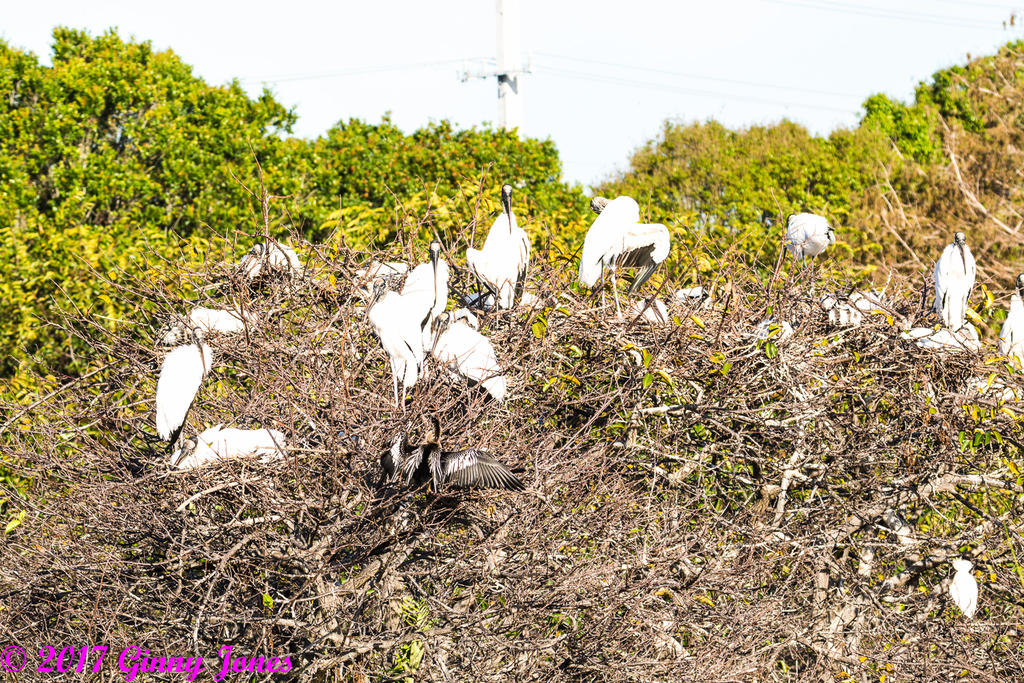 DSC_0426.jpg