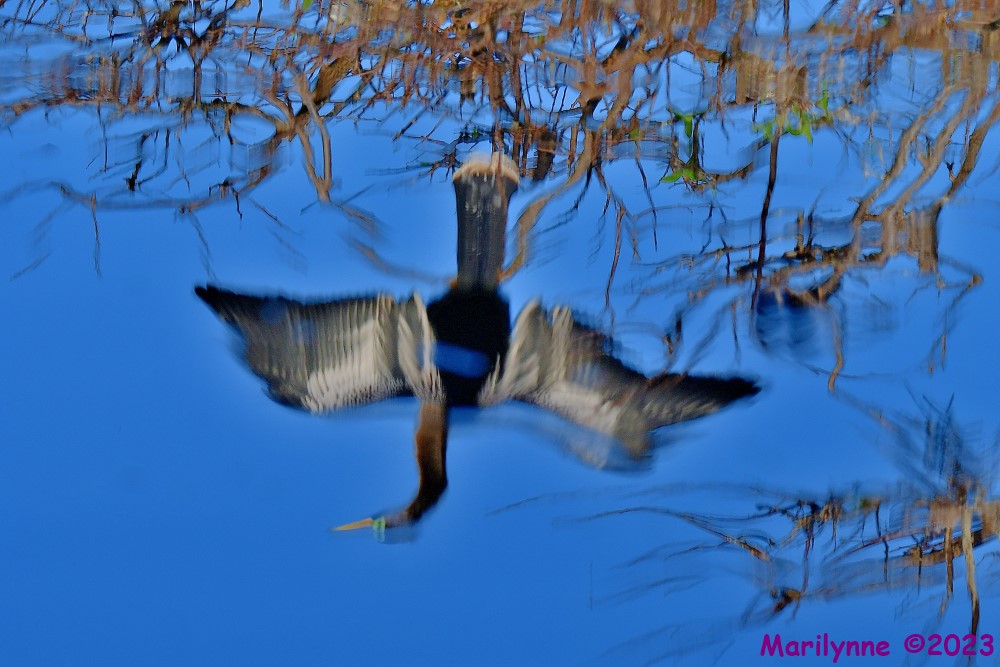 DSC_0429_001.JPG