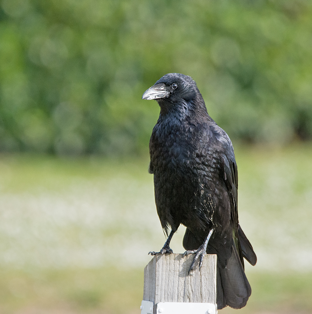 DSC_0430.jpg