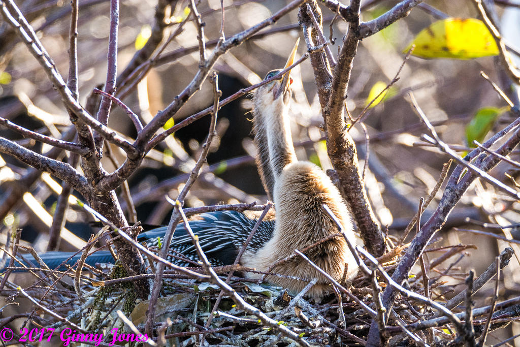 DSC_0430.jpg
