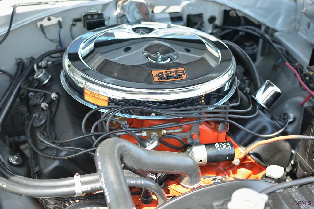 DSC_0431 nxd.jpg