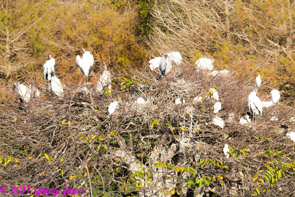 DSC_0444.jpg