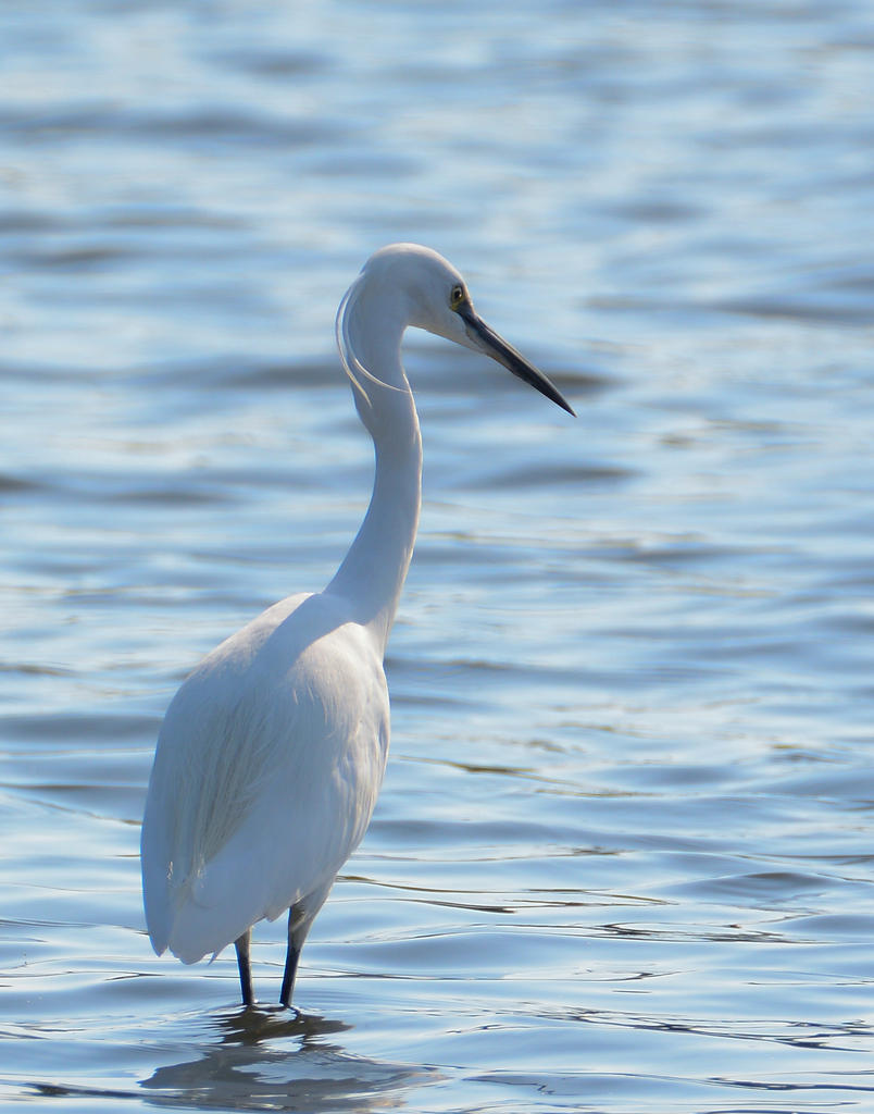 DSC_0448.jpg