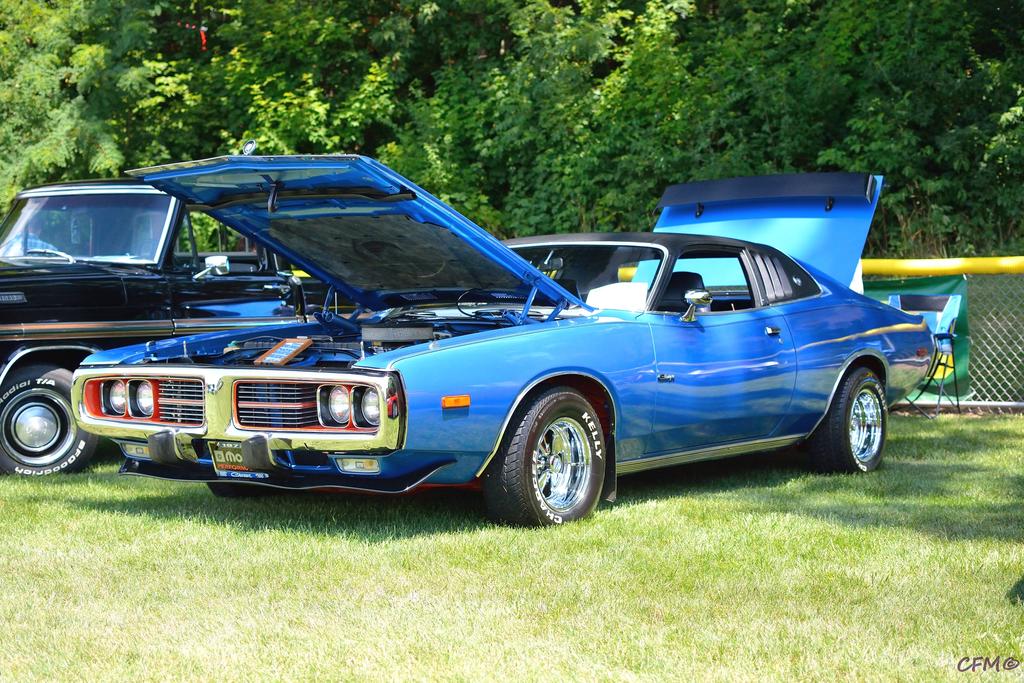 DSC_0451 nxd.jpg