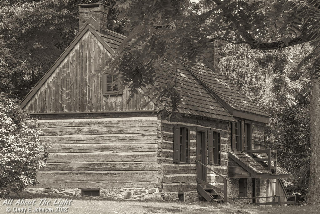DSC_0452 sepia low res.jpg