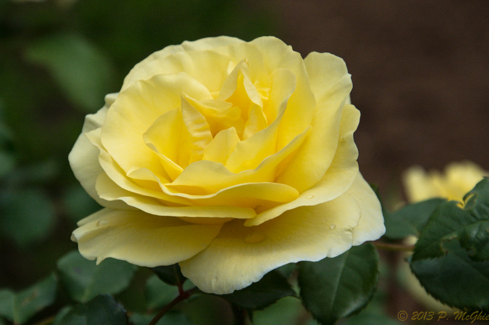 DSC_0456.jpg