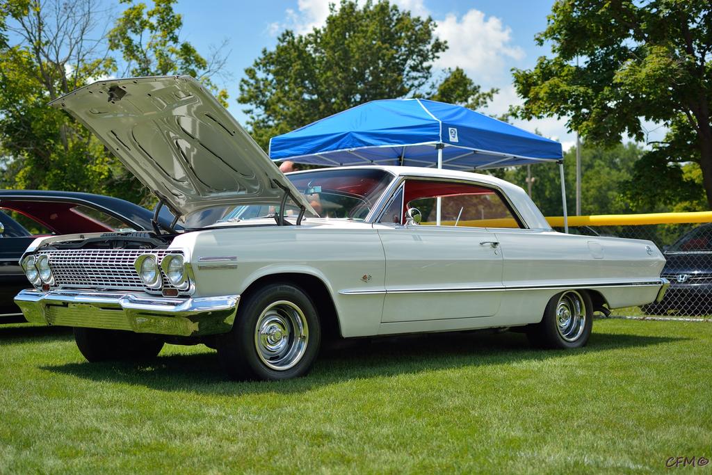 DSC_0456 nxd.jpg