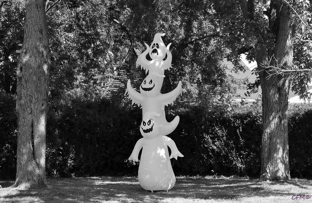 DSC_0458 nxd bw.jpg