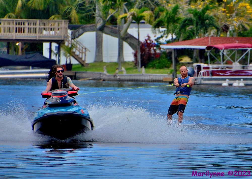 DSC_0460_001.JPG