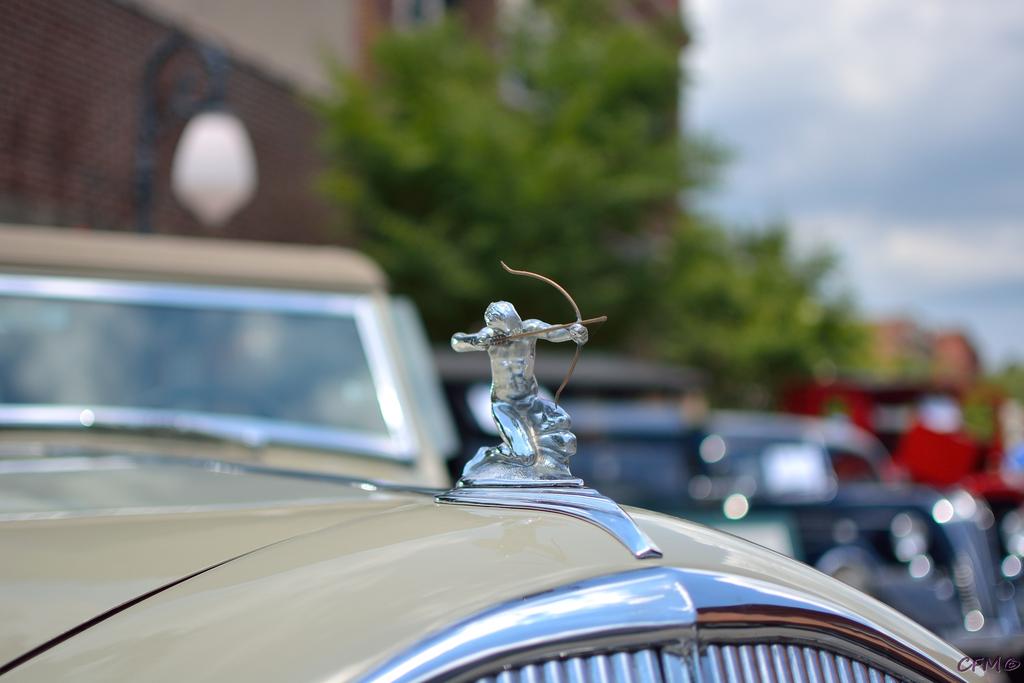 DSC_0462 nxd.jpg