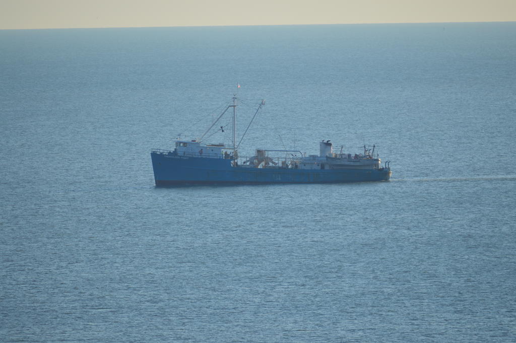 DSC_0463.jpg
