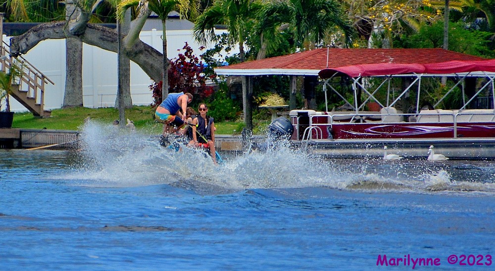 DSC_0467_001.JPG
