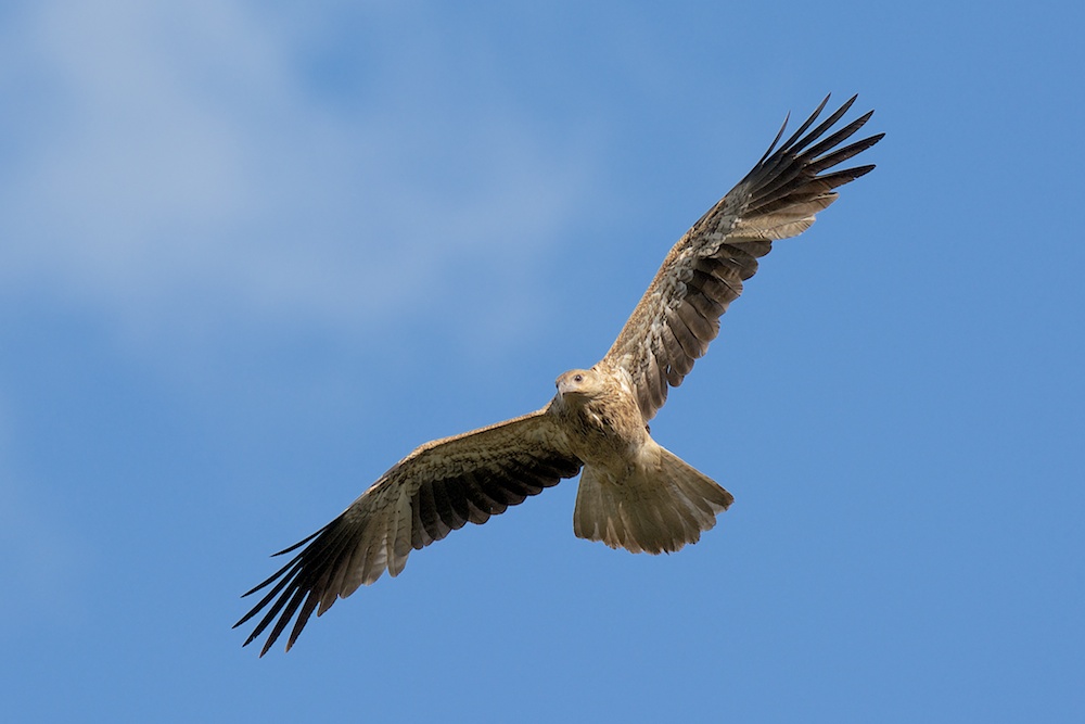 DSC_0470.jpg