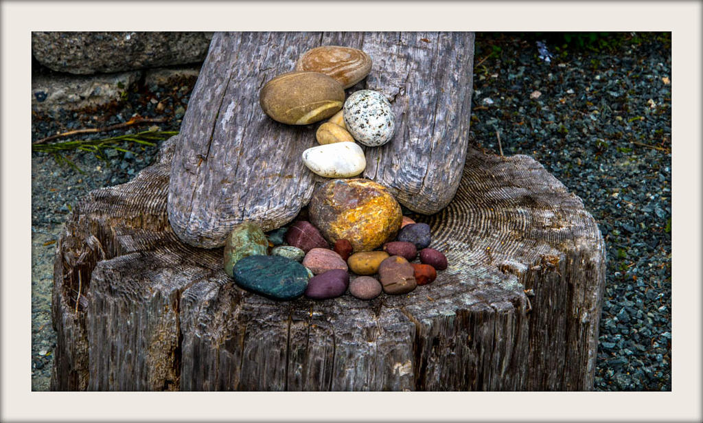 DSC_0470.jpg