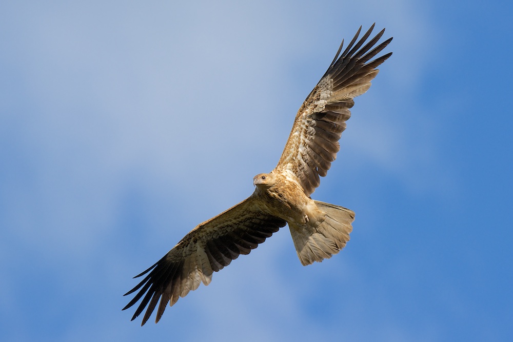 DSC_0471.jpg