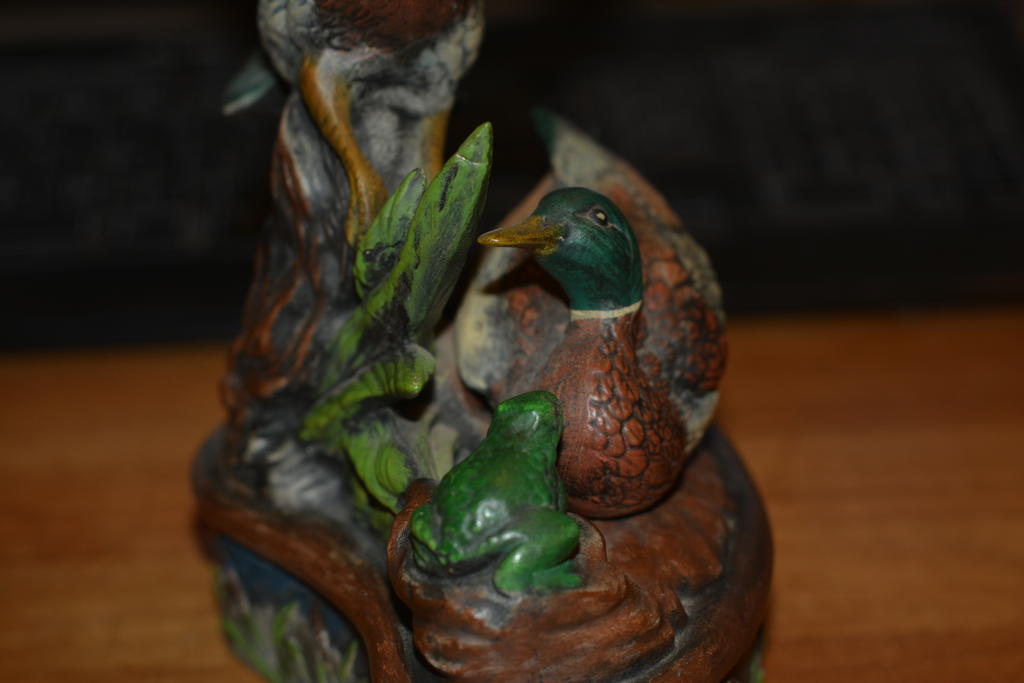 DSC_0474.jpg