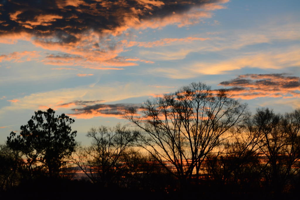 DSC_0477.jpg