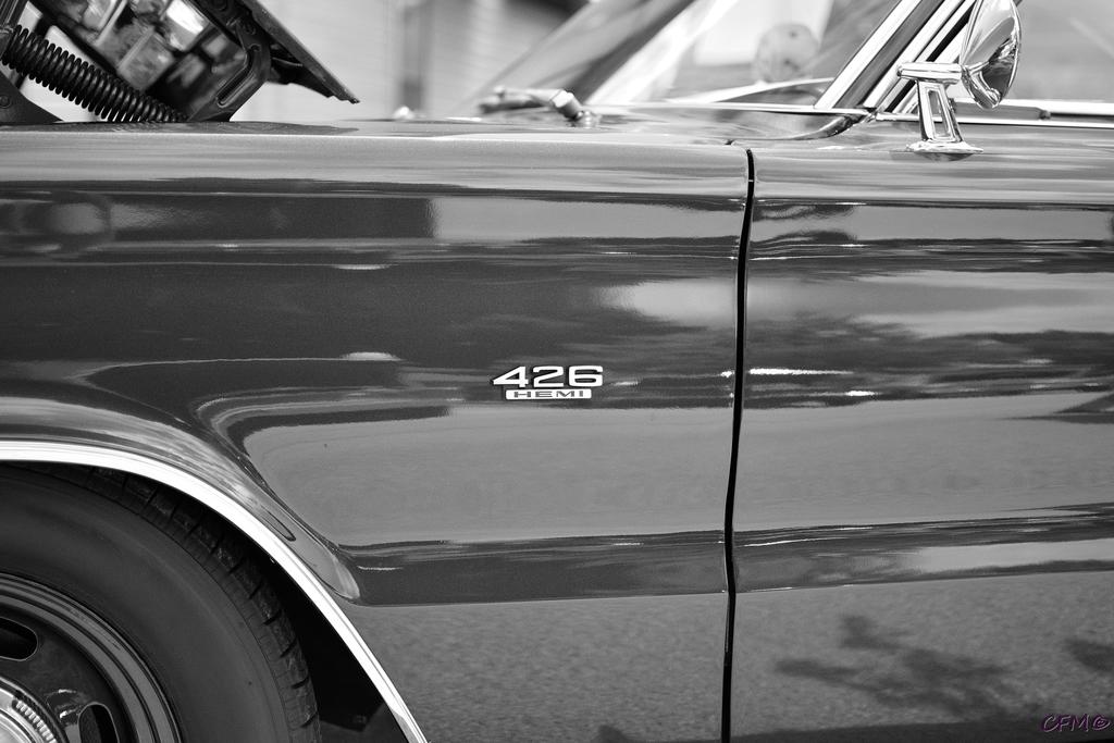 DSC_0478 nxd bw.jpg