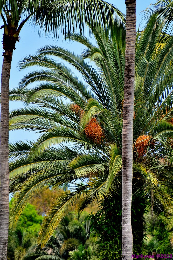 DSC_0480_001.JPG