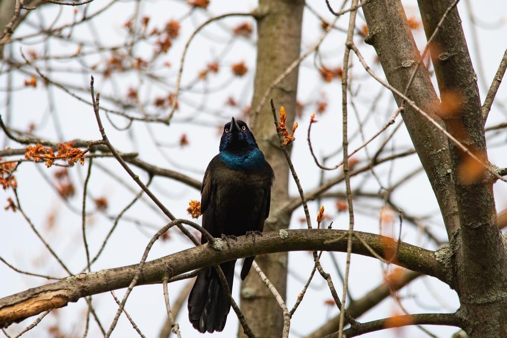 DSC_0482.jpg