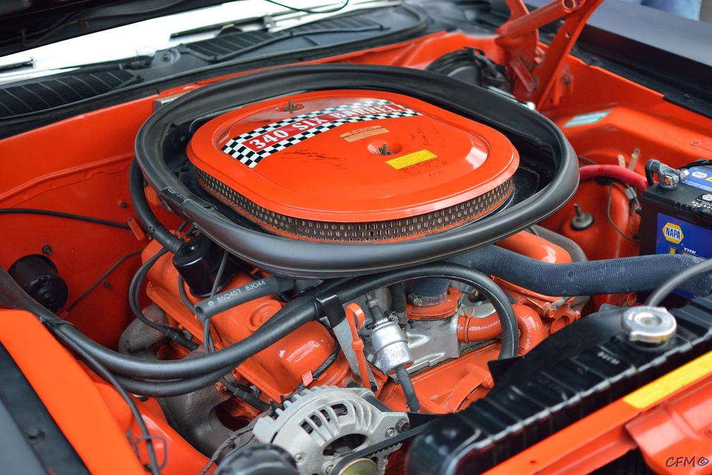 DSC_0482 nxd.jpg