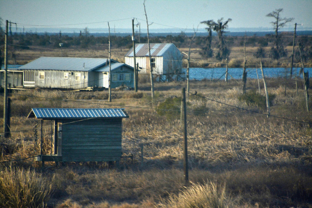 DSC_0486.jpg
