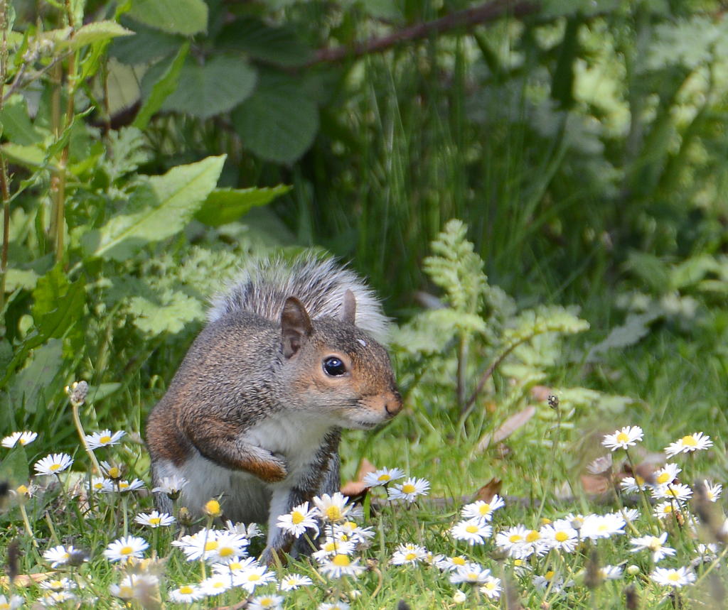 DSC_0487.jpg