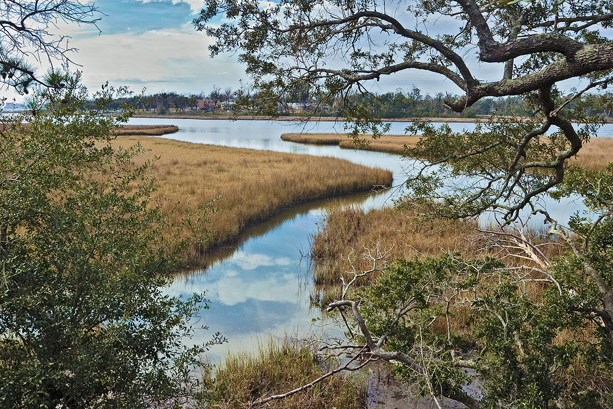 DSC_0489_ret.jpg