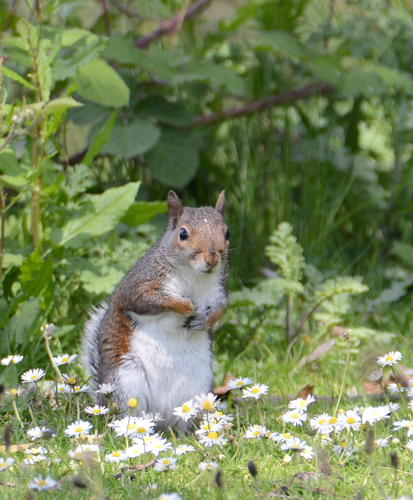 DSC_0490.jpg