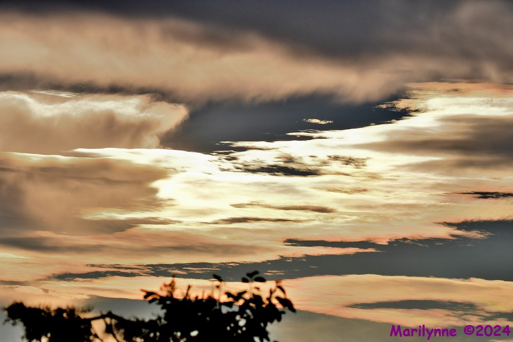 DSC_0492_001.JPG
