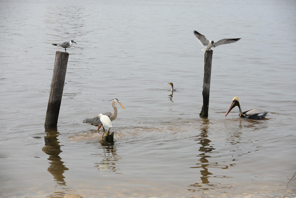 DSC_0493.jpg