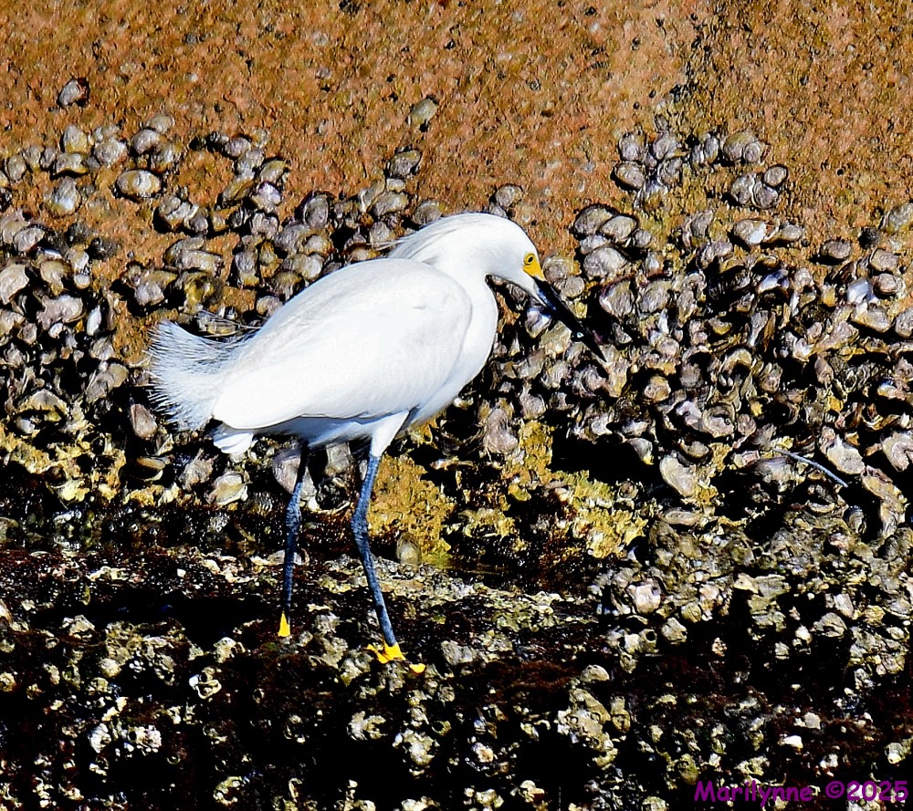 DSC_0493_001.JPG