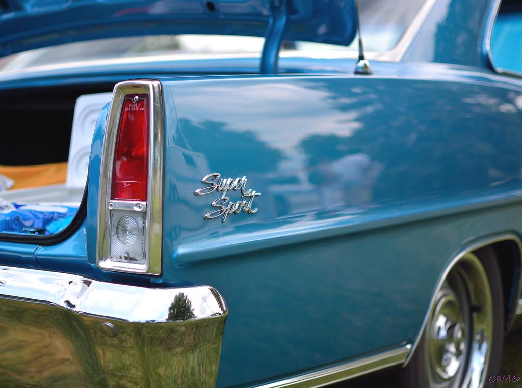 DSC_0494 nxd.jpg