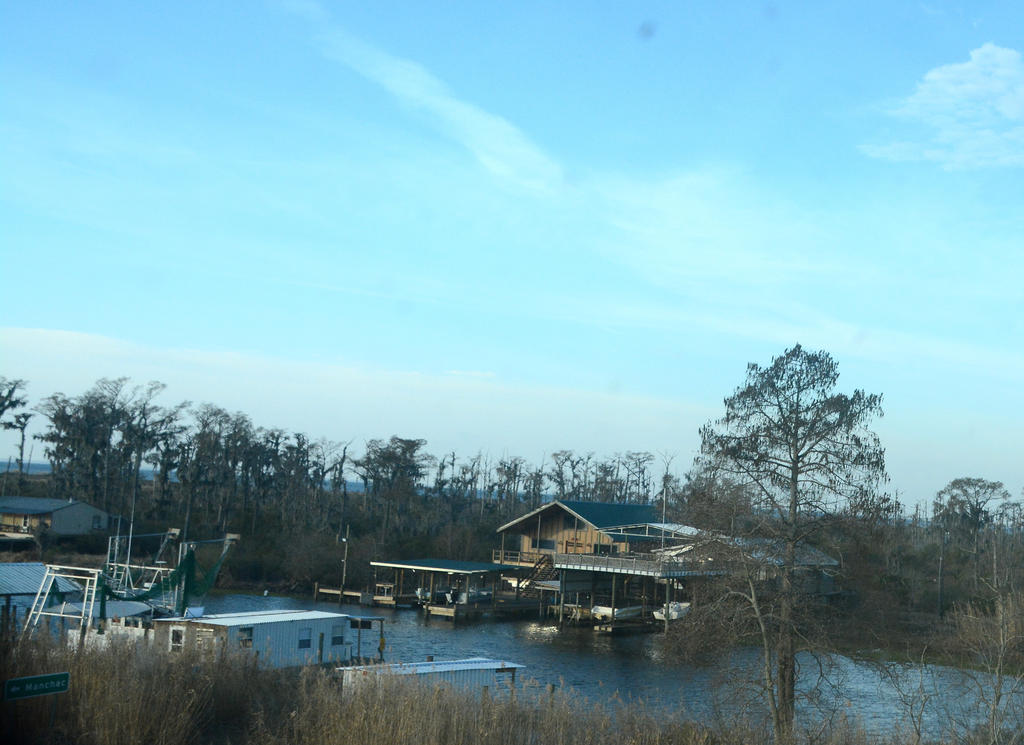 DSC_0495.jpg