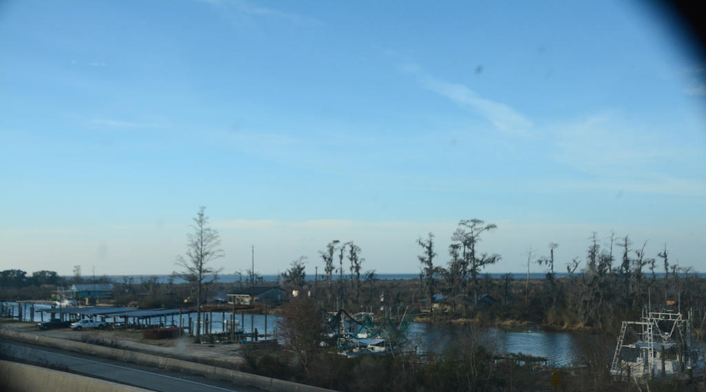 DSC_0497.jpg